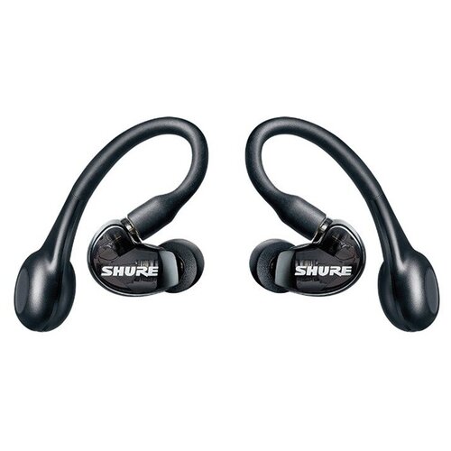 Наушники Shure SE21DYBKTW2-EFS 2930000₽