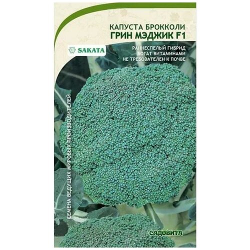 Капуста-брокколи капуста Садовита Грин Мэджик F1 капуста брокколи капуста садовита грин мэджик f1