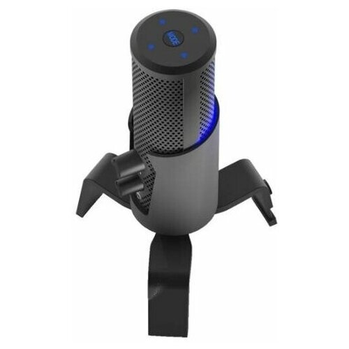 Микрофон Ritmix RDM-290 Eloquence черный 977000₽