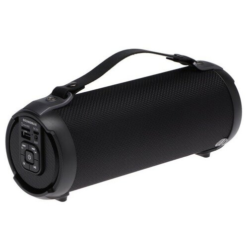 Портативная колонка Soundmax SM-PS5020B 16Вт 1500мАч FM BT microSD AUX черная 494700₽