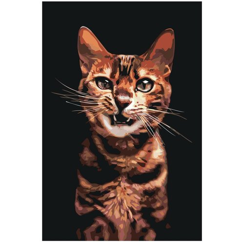 Злой рычащий кот Раскраска картина по номерам на холсте рычащий тигр раскраска картина по номерам на холсте