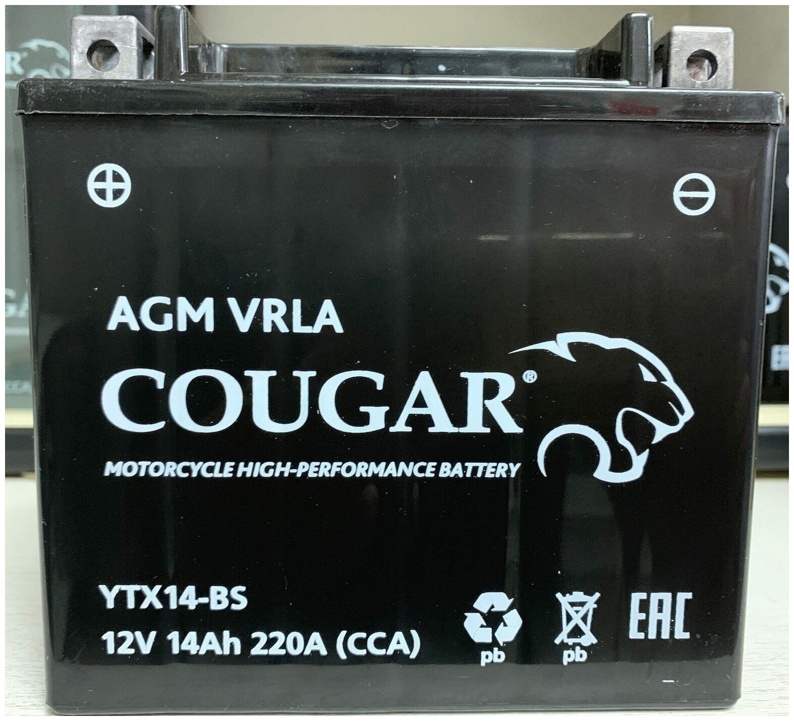 Аккумулятор мотоциклетный Cougar AGM YTX14-BS 12V 14Ah (залит и готов к применению)