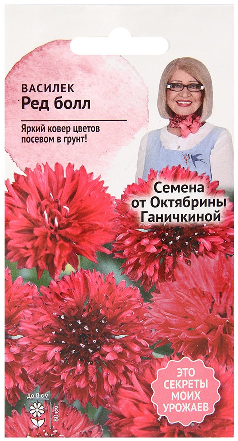 Виола