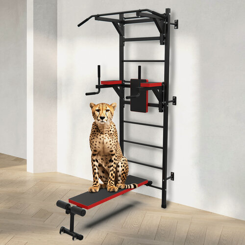 Изображение товара Шведская стенка с опциями DFC D-1235