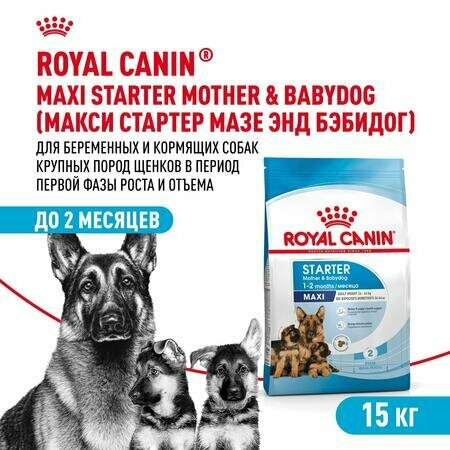 ROYAL CANIN MAXI STARTER 15 кг корм для щенков до 2-х месяцев, беременных и кормящих сук