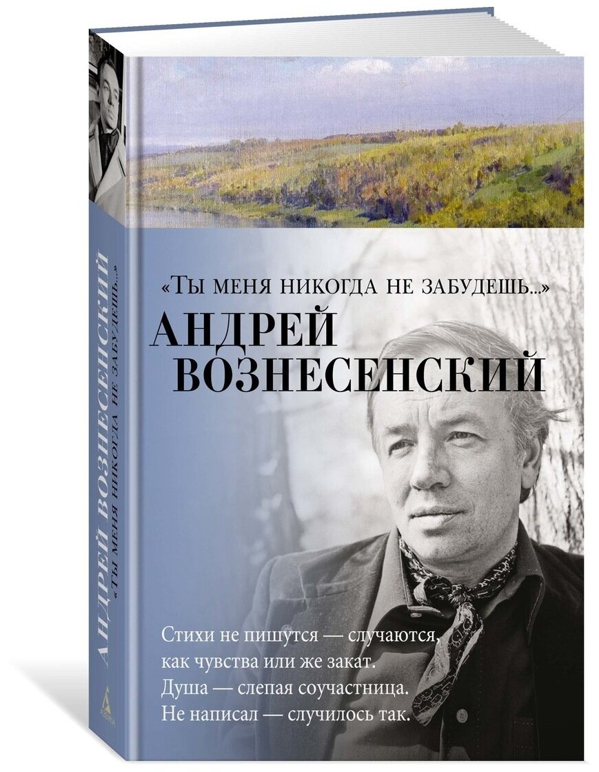 Ты меня никогда не забудешь... - фото №2