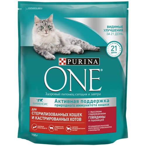Сухой корм Purina ONE для стерилизованных кошек и кастрированных котов, с высоким содержанием говядины и пшеницей, Пакет, 750 г х 2 шт