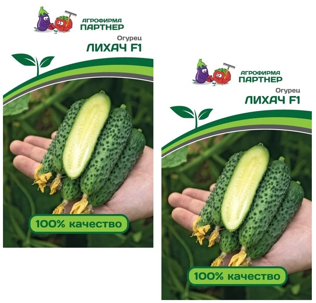 Семена Огурец лихач F1 /Агрофирма Партнер/ 2 упаковки по 5 семян