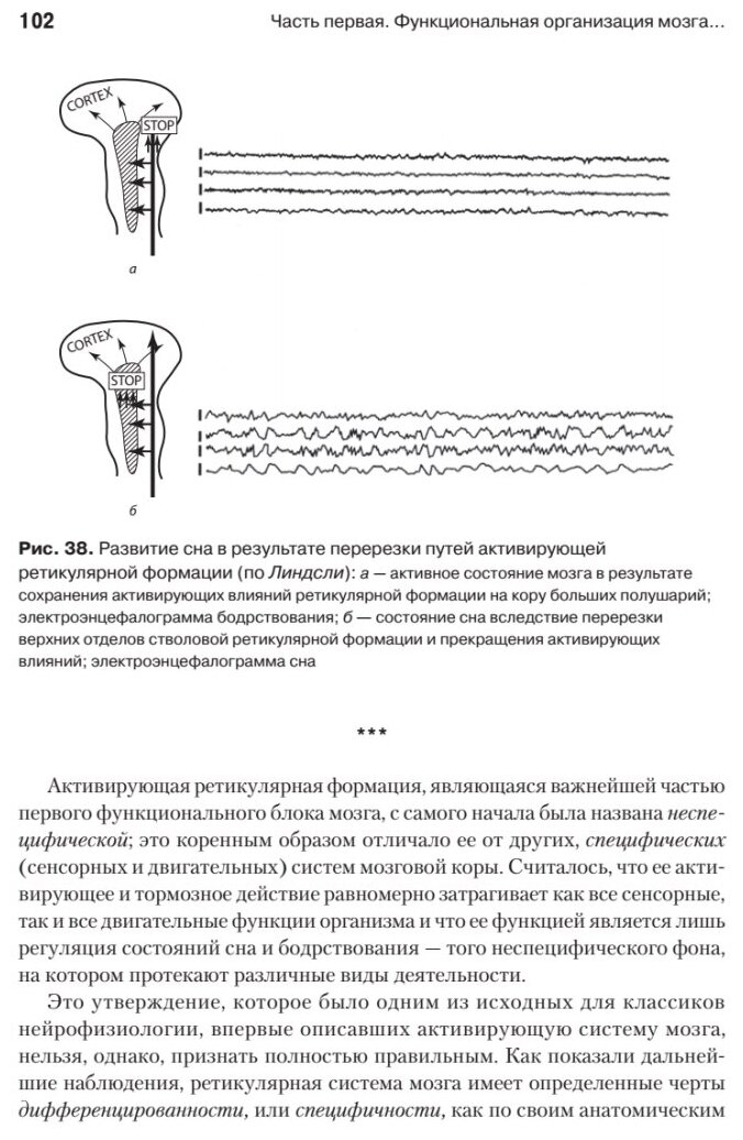 Основы нейропсихологии (Лурия Александр Романович) - фото №13