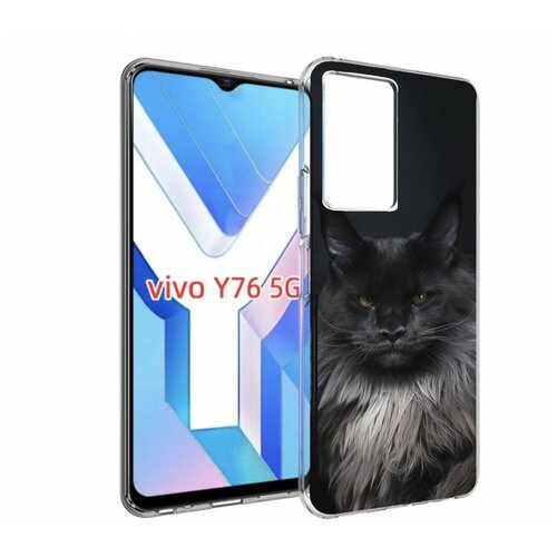 Чехол MyPads кошка мейн кун 2 для Vivo Y76 5G задняя-панель-накладка-бампер