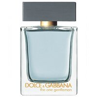 dolce&gabbana the one gentleman