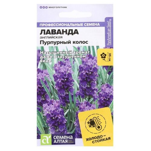 Семена цветов Лаванда Пурпурный колос, узколистная, Сем. Алт, ц/п, 5 шт в комлпекте 2, упаковок(-ка/ки)