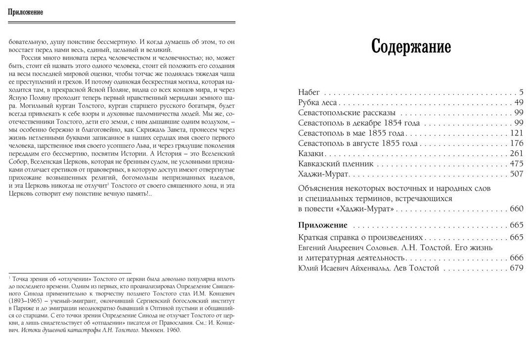 Хаджи-Мурат. Избранное (Чапля Владимир Тимофеевич (иллюстратор), Толстой Лев Николаевич) - фото №4