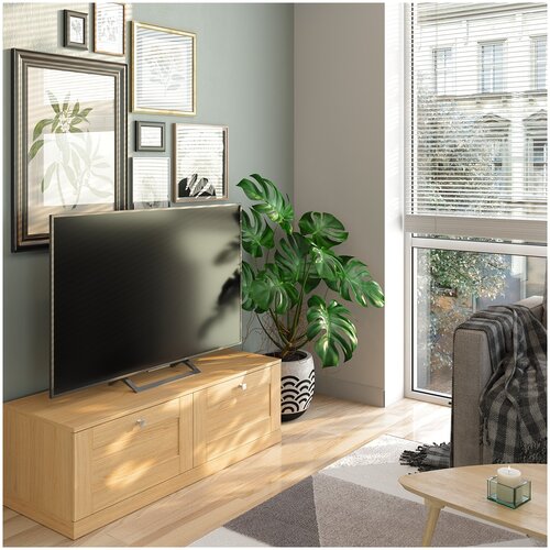 Тумба под телевизор (тв) , тумба из дерева светлая by Mr. doors - Frame