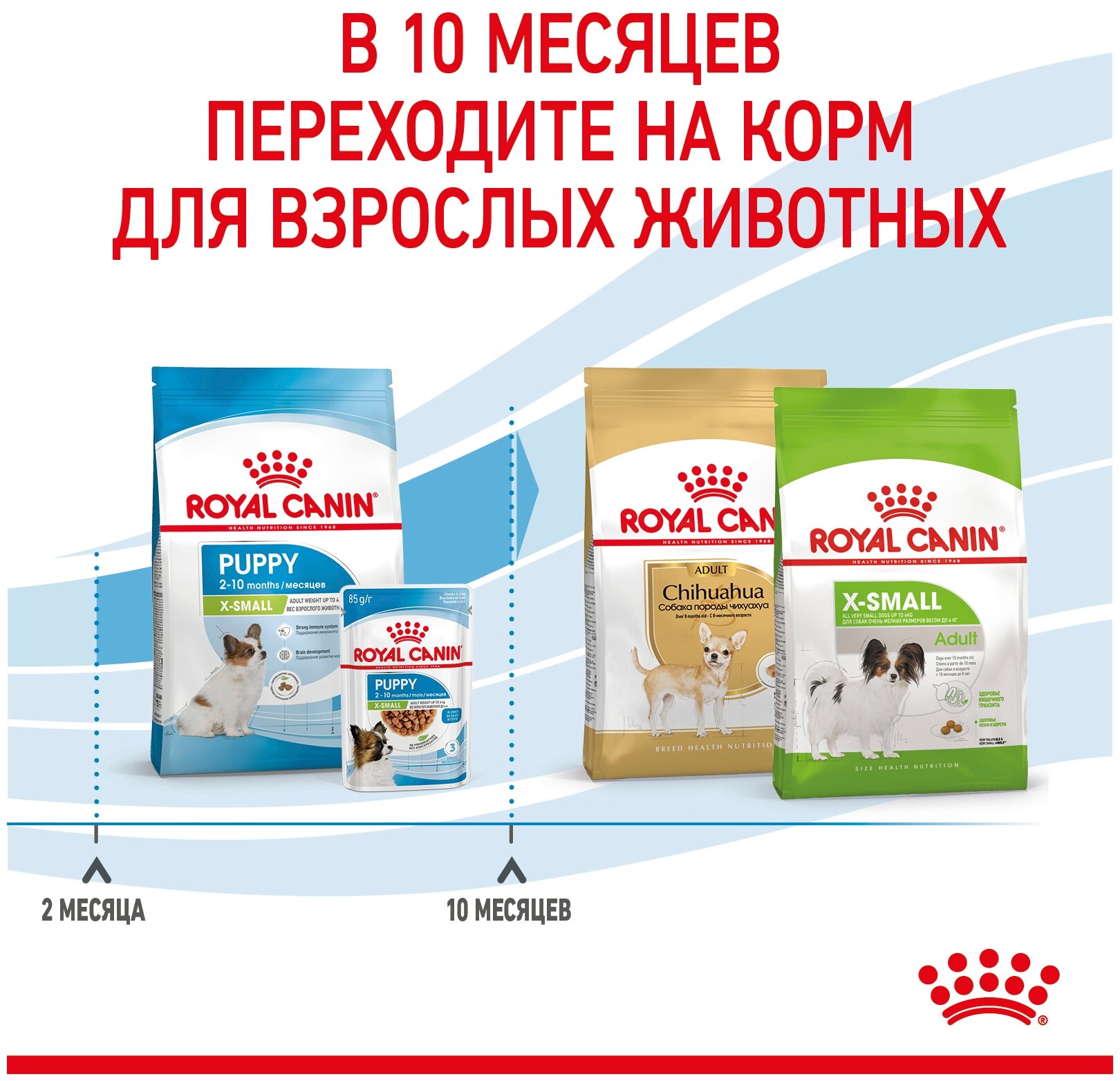 Сухой корм Royal Canin X-Small Puppy (Икс Смолл Паппи) для щенков миниатюрных пород (вес взрослой собаки до 4 кг) до 10 месяцев, 3 кг - фотография № 5