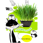 Трава для кошек в лотке DREOSSA 500мл - изображение