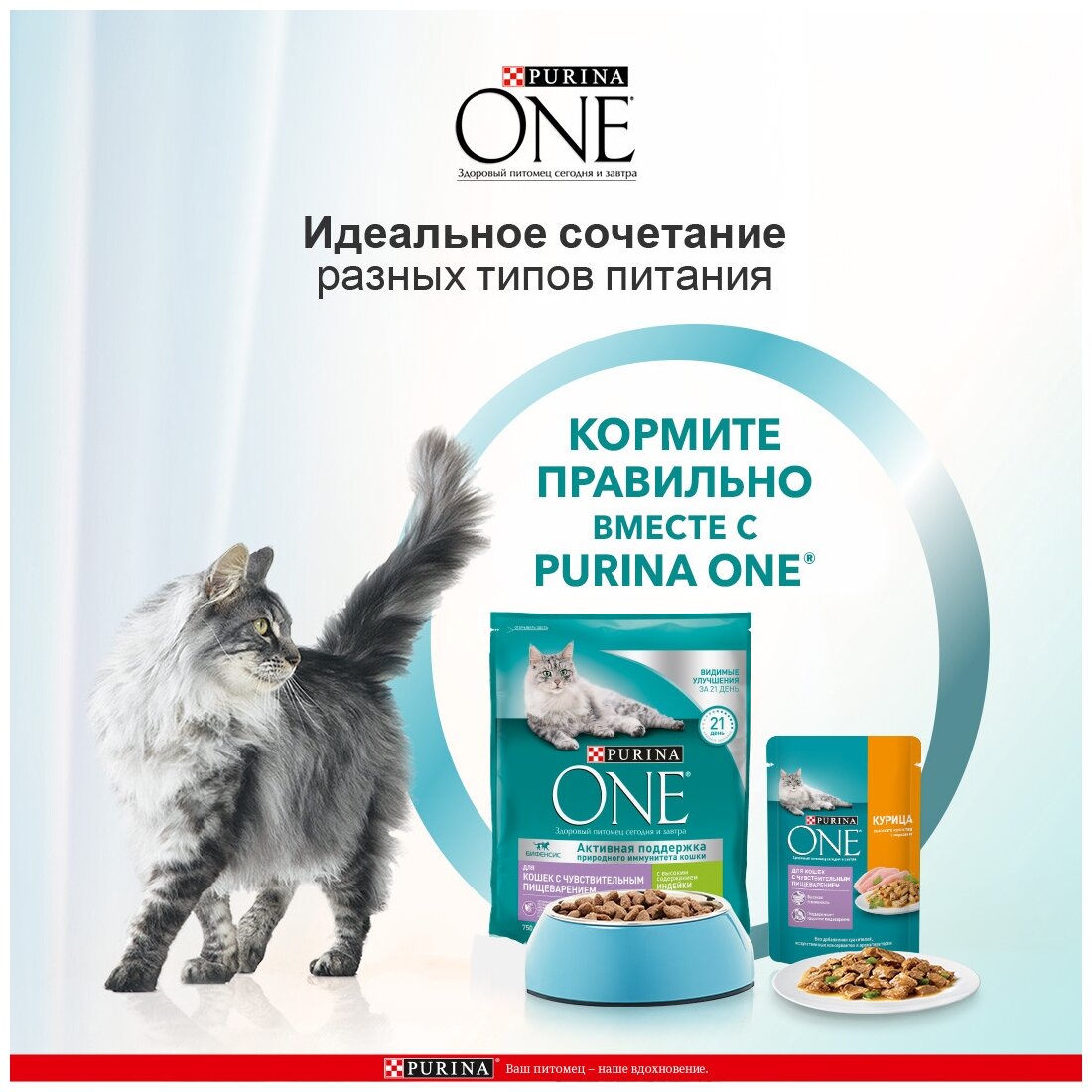 Сухой корм Purina ONE для кошек с чувствительным пищеварением, с индейкой и рисом, 1,5 кг - фотография № 9