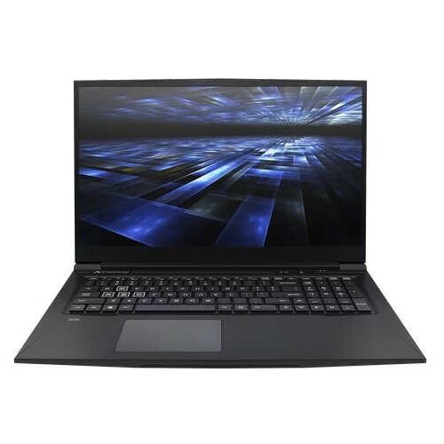 Ноутбук Gateway GGNC71719-BK Intel Core i7 11800H 46GHz1731920x108016GB1TB SSDNVIDIA GeForce GTX 3050 Ti 4GBWindows 11 Home 8199000₽