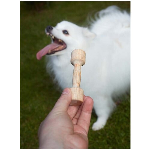 Игрушка для собак Japan Premium Pet для коррекции поведения и снятия стресса у собак в форме гантели. Размер мини