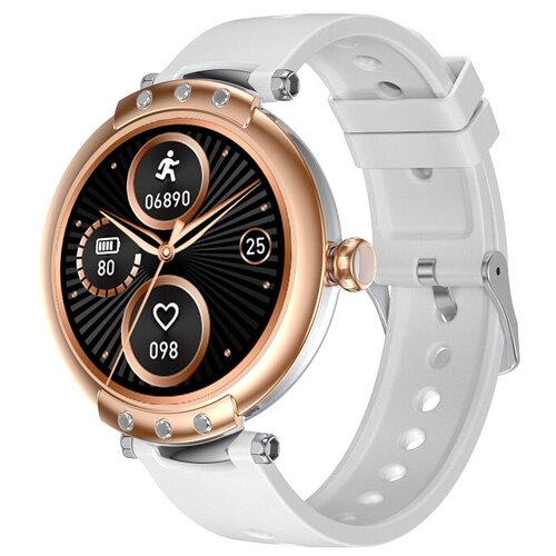 BandRate Smart BRSFR98GGR 849200₽