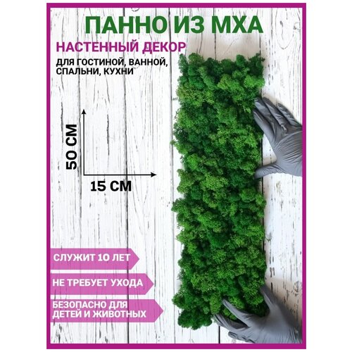 Панно настенное 15х50 мох стабилизированный, самоклеющаяся панель для стен, декор для дома, на стену, в комнату, декорация настенная