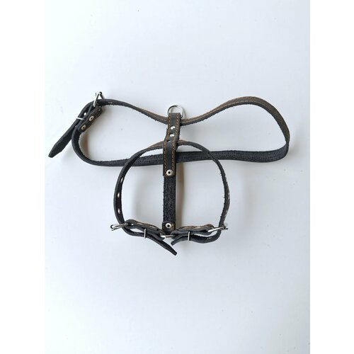 Шлейка кожаная Прогулочная, 2 см, ОШ 46-58 см, ОГ 78-85 см.