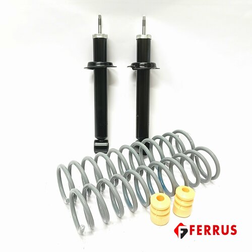 Амортизаторы задние в сборе модуль задний 2шт ВАЗ 2110 2112 кроме 2111 6840₽