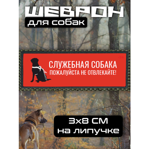 Шеврон на липучке для собак служебная собака