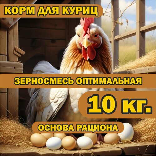 Корм для куриц 10 кг. оптимальный, зерносмесь