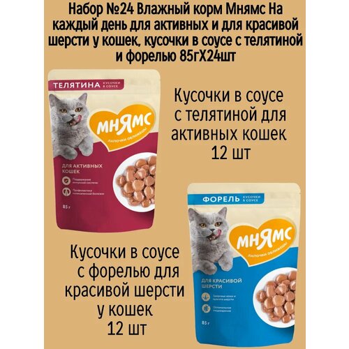 Набор №24 Влажный корм Мнямс для активных домашних кошек, кусочки в соусе с телятиной и форелью, 24 шт х 85 гр