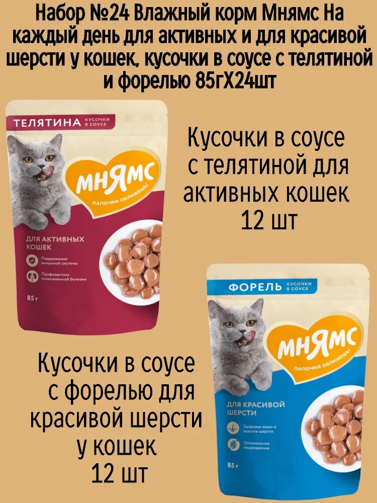 Набор №24 Влажный корм Мнямс для активных домашних кошек, кусочки в соусе с телятиной и форелью, 24 шт х 85 гр