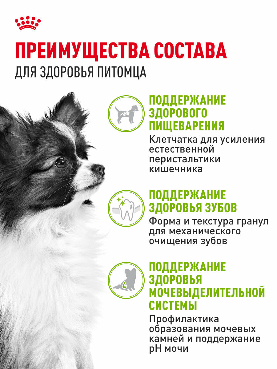 Сухой корм для собак Royal Canin X-Small Adult для очень мелких пород, 1,5 кг — фото 1