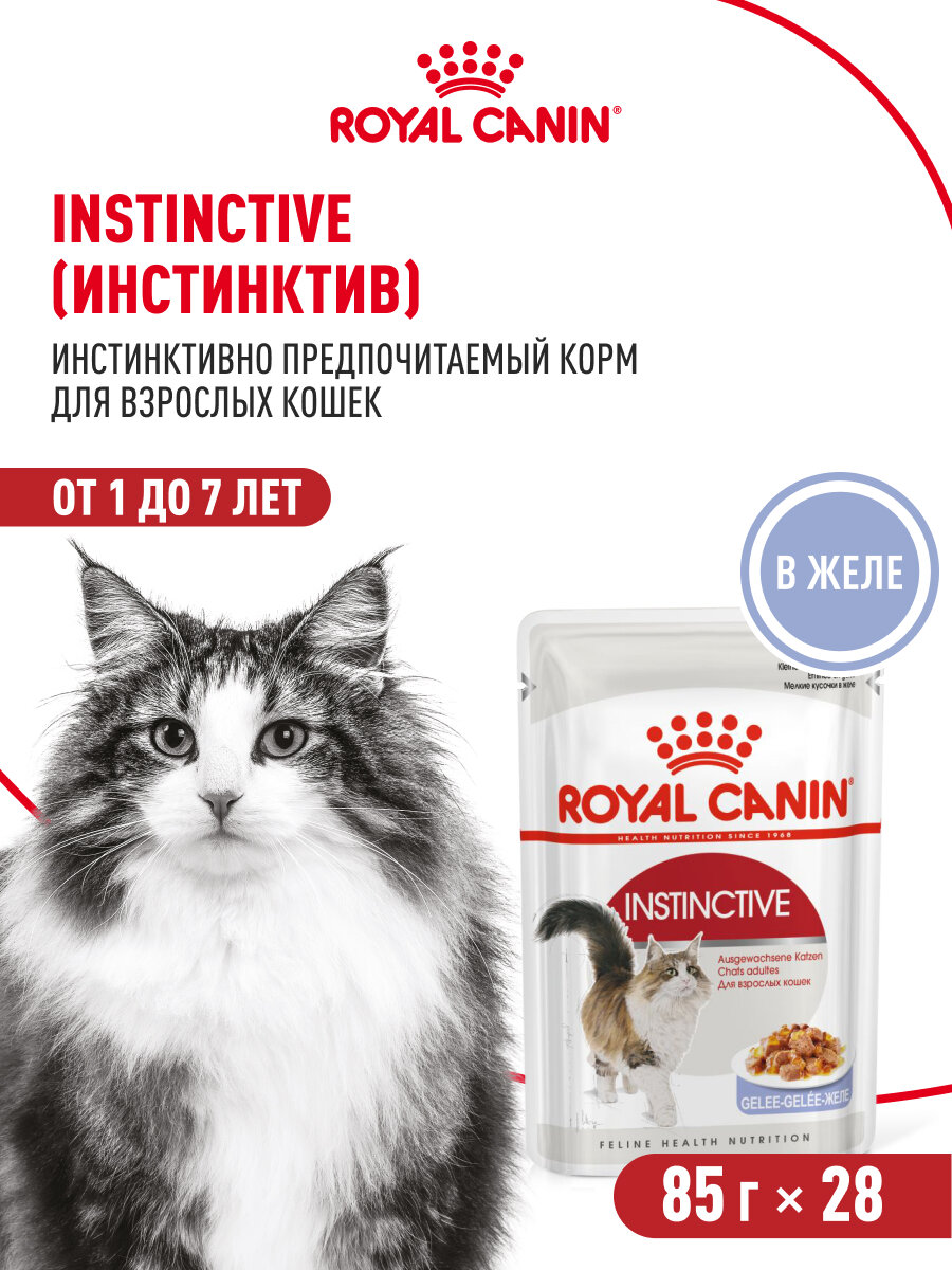 Влажный корм для кошек Royal Canin Instinctive кусочки в желе, 28 шт по 85 г — фото 1