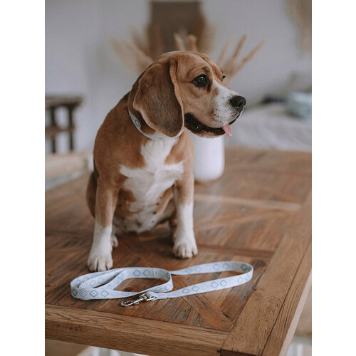 Поводок-рулетка для собак, 