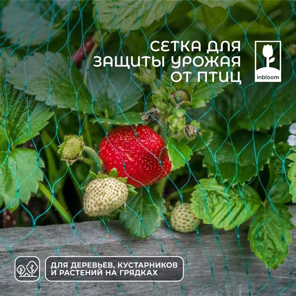 Сетка от птиц садовая для защиты урожая, 4х5 м, полиэтилен, зеленая INBLOOM BY