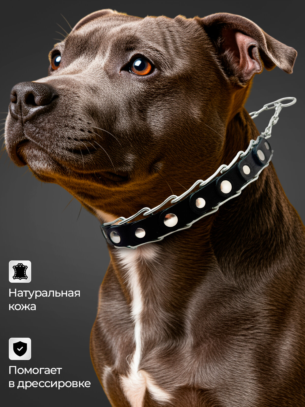 Ошейник для собак строгий металлический