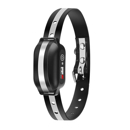 Ресивер для электронного ошейника PD-529-Pro