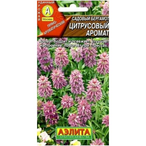 Бергамот садовый Цитрусовый аромат ( 3 упаковки ), семена