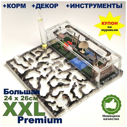 Большая муравьиная ферма XXL Premium 24*26см Полный комплект Камень