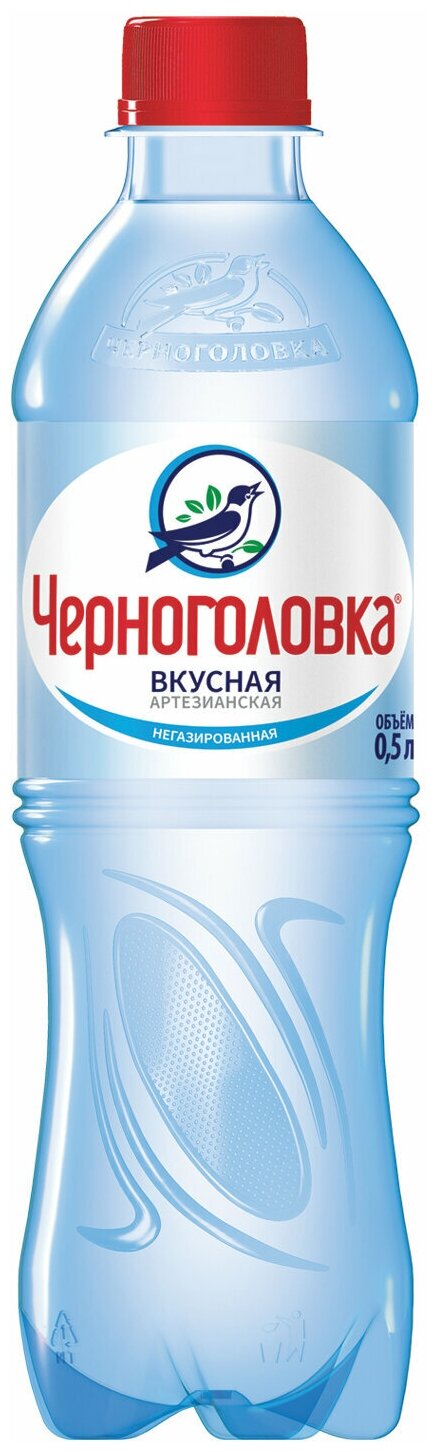 Вода питьевая Черноголовская негазированная, ПЭТ (0,5л*12шт) - фотография № 4