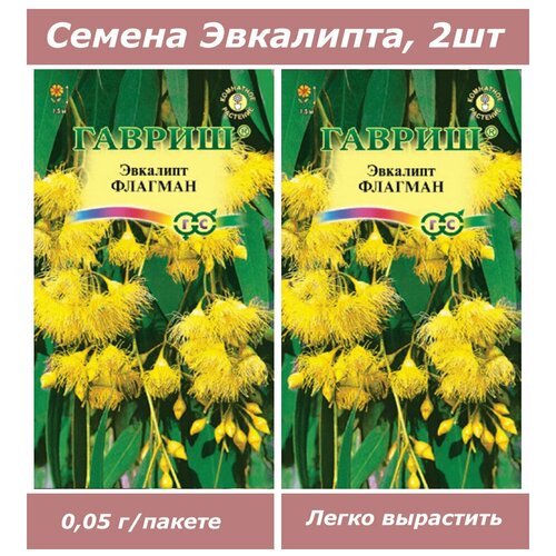 Семена, набор семян комнатных цветов Эвкалипт семена набор семян комнатных цветов эвкалипт