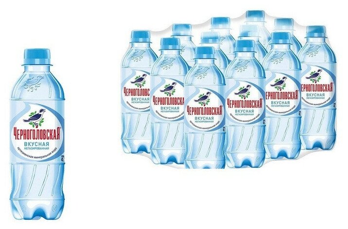 Вода питьевая Черноголовская негазированная, ПЭТ (0,33л*12шт) - фотография № 6