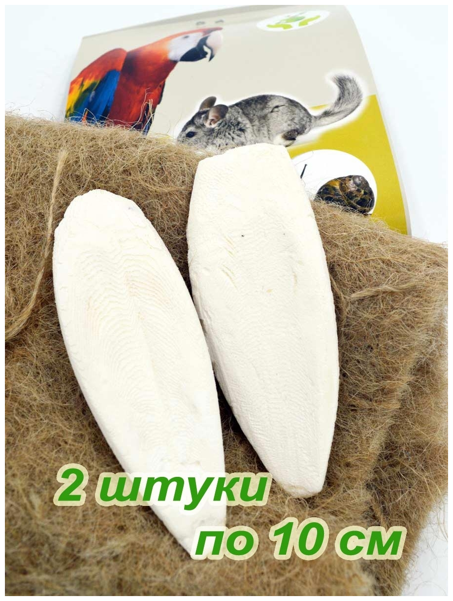 Сепия панцирь каракатицы для птиц, улиток, черепах, грызунов 2 штуки 10 см без держателя
