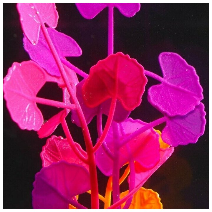 Растение силиконовое аквариумное, светящееся в темноте, 8 х 19 см, разноцветное 7108794 - фотография № 3