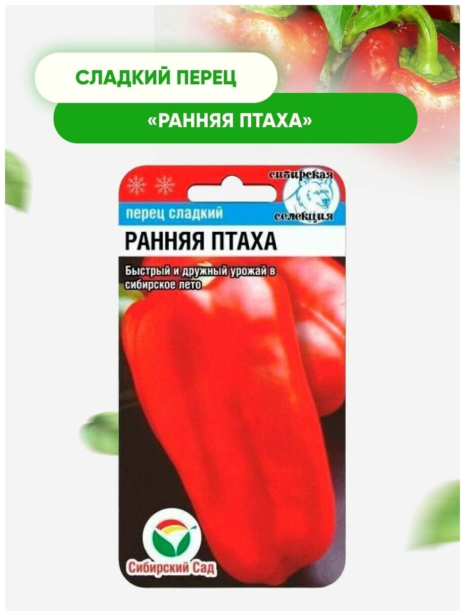 Семена Перец Ранняя птаха сладкий