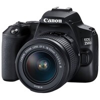 Фотоаппарат Canon EOS 250D Kit EF-S 18-55mm f/3.5-5.6 DC III, черный