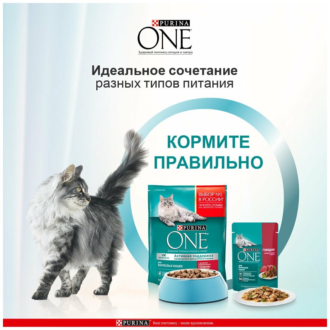 Сухой корм Purina ONE Природа Здоровья для взрослых кошек, с высоким содержанием курицы, Пакет, 180 г х 4 шт - фотография № 4