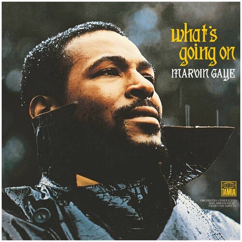 Виниловая пластинка Marvin Gaye. What's Going On (LP) marvin gaye what s going on universal lp ec виниловая пластинка 1шт