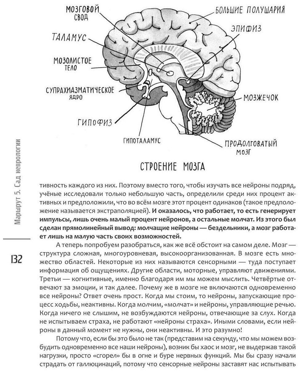 Путешествие по миру медицины: от древних времен до наших дней - фото №3