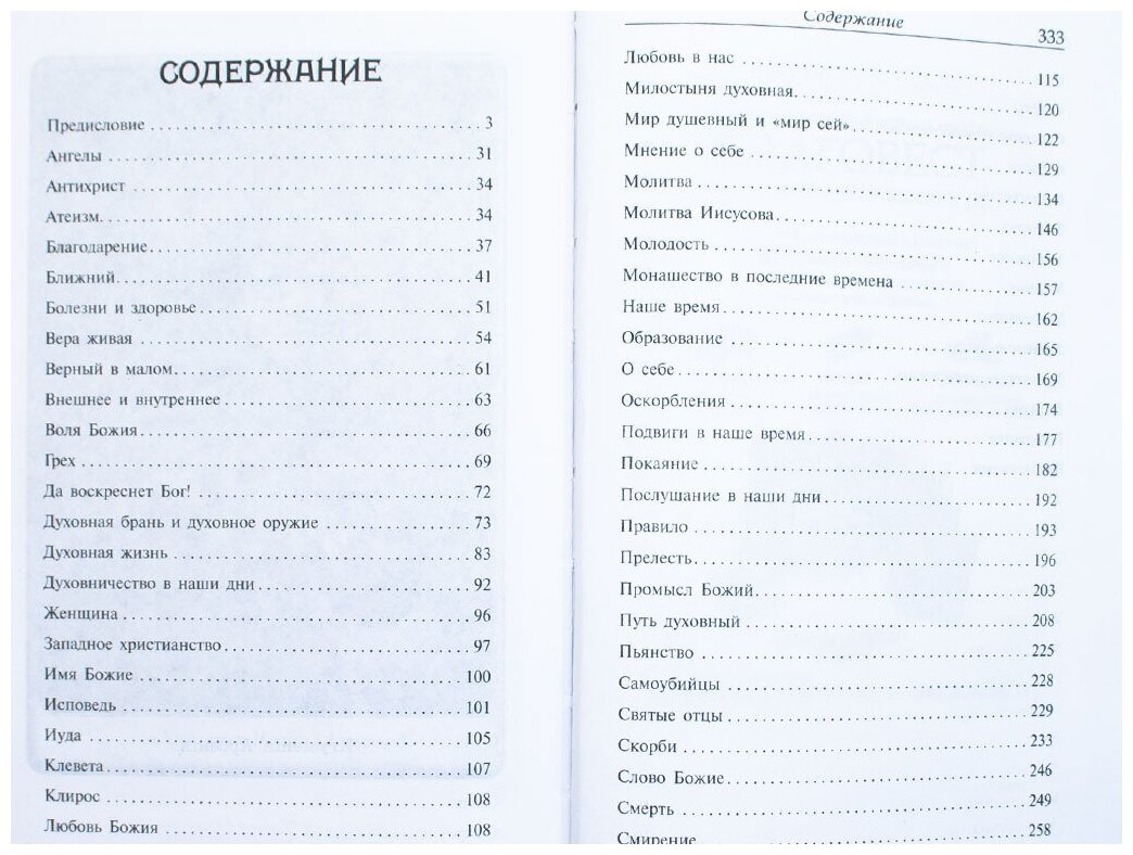 Носители Духа. По стопам святителя Игнатия (Брянчанинова) - фото №8